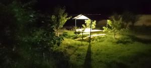 Aed väljaspool majutusasutust Sevan Garden Complex
