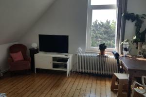 a living room with a tv and a radiator and a window at Private Apartment in Hannover
