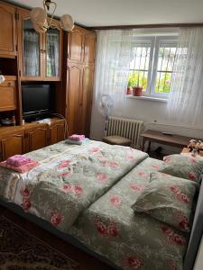 Schlafzimmer mit einem Bett, einem TV und Fenstern in der Unterkunft Apartman Jamal in Sarajevo