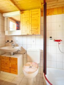 ein Bad mit einem WC, einem Waschbecken und einer Dusche in der Unterkunft Chalet am Sunne-Egge auf Axalp bei Brienz in Axalp