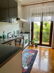 a kitchen with a sink and a counter top at Prijeten prostoren apartma v hiši in Pivka