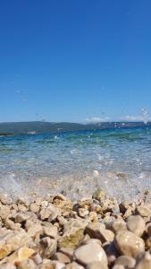 een rotsachtig strand met water en vogels op de achtergrond bij Studio Apartments Maslinik in Krk