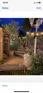 a picture of a garden at night at Stargazy Garden in Hayle