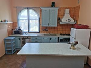 eine Küche mit einer Spüle und einem weißen Kühlschrank in der Unterkunft Casa Maremonti vicino Cefalu in Campofelice di Roccella