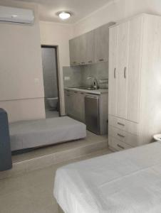ネア・ローダにあるDaniela Apartmentsのキッチン(ベッド1台、シンク付)が備わる客室です。