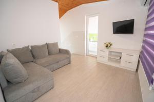 a living room with a couch and a tv at Garden Resort - Apartments Maslina in Potocnica