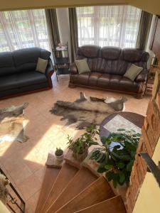 a living room with a couch and cats on the floor at The Mountain Cottage - Hegyi kuckó in Bükkzsérc