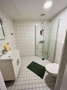 a bathroom with a shower and a toilet and a sink at Koselig studioleilighet in Jessheim