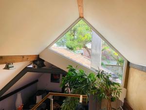 een raam op de zolder van een huis met een plant bij 70 qm Wohnung in der Hofreite in Groß-Umstadt