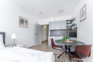 Köök või kööginurk majutusasutuses Apartmán v Poděbradech