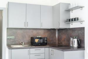 Köök või kööginurk majutusasutuses Apartmán v Poděbradech