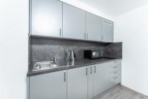 Köök või kööginurk majutusasutuses Apartmán v Poděbradech