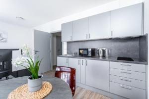 Köök või kööginurk majutusasutuses Apartmán v Poděbradech