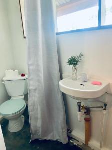 a bathroom with a toilet and a sink with a shower curtain at Babu Backpackers inn in Moalboal