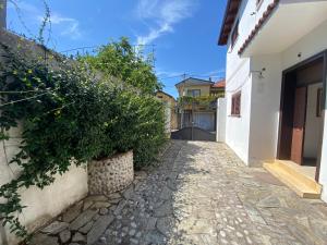 a stone walkway next to a white building with plants at Villa MINO in Shkodër