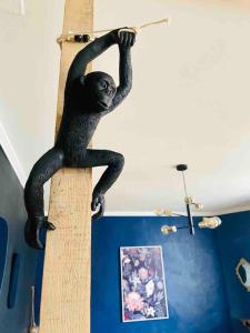 eine Statue eines Affen an der Wand in der Unterkunft Confort - 4 pers - WIFI - plage à 400 m in Berck-sur-Mer
