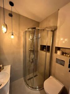 Un baño con ducha, inodoro y lavabo. en Apartament Centrum Ligota, en Katowice