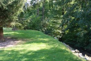 Ein Garten an der Unterkunft Romantic Wooden Lodge,Sauna,Schwimmteich,alleinstehend,absolut ruhig