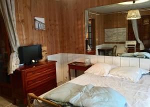 guesthouse bassin d'arcachon à la hume في غوجان-ميستراس: غرفة نوم بسرير وتلفزيون ومرآة