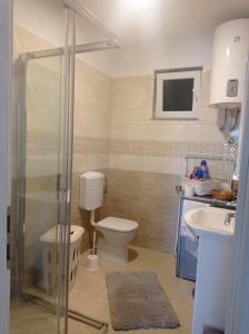 een badkamer met een toilet, een wastafel en een douche bij Apartman Mimi in Matulji