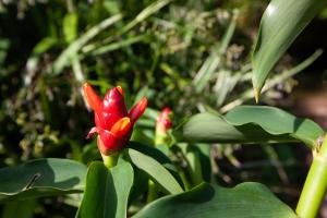 Giardino di Colibri Hotel