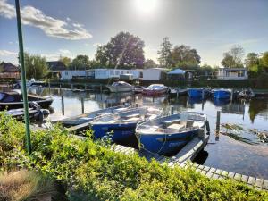 a group of boats are docked in a harbor at Camping Kleine Belterwijde, Haven Chalet in Belt-Schutsloot