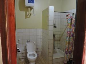 a bathroom with a toilet and a shower at Perigrin Rest House in Karatu