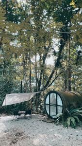 uma tenda e dois bancos debaixo de uma árvore em Time Capsule Retreat, Sungai Lembing em Sungai Lembing
