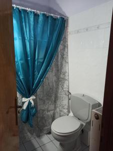 a bathroom with a toilet and a blue shower curtain at Fotini's Paradise in Platanidia