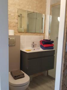 a bathroom with a sink and a toilet and a mirror at Les portes du marais in Benet