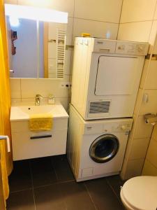 baño pequeño con lavadora y lavamanos en Appartement traversant secteur Violettes, en Crans-Montana
