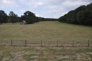 Naturlandschaft in der Nähe des Bed & Breakfasts