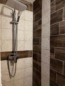 a shower with a shower head in a bathroom at Chambre duo in Sainte-Gemme-la-Plaine