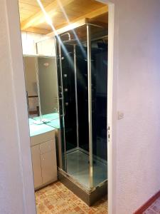 a glass shower in a bathroom with a sink at Appartement Les rousses, Jura in Les Rousses