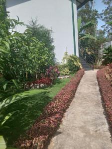 Сад в Traveller's Villa