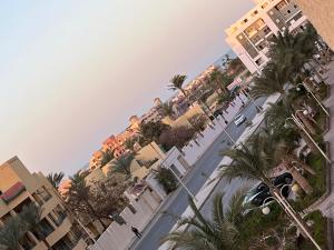 a row of palm trees in front of buildings at Florence khamsin - dream house in Hurghada