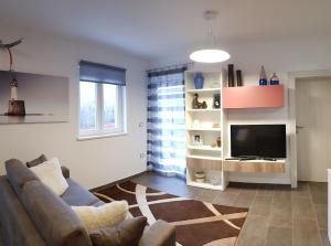 a living room with a couch and a television at Luxury Villa Četiri Hrasta Apartment in Pićan