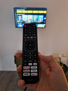 a hand holding a remote control in front of a tv at Le ciel étoilé, Belfort ville in Belfort