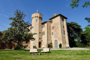 Grisolles的住宿－Château de Fontanas, les Lauriers，一座古老的城堡,在草地上有两个塔楼