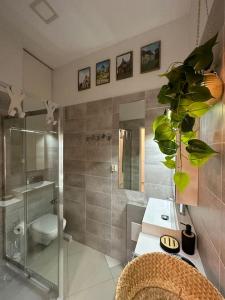 a bathroom with a shower and a toilet and a sink at Salt INN Apartments No 1 in Wieliczka