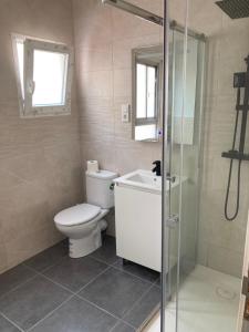 a bathroom with a toilet and a sink and a shower at Spacious vintage 18 in Vinarós +11 photos