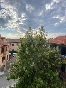 a tree in the middle of a yard with houses at CV Martesana Gessate in Gessate