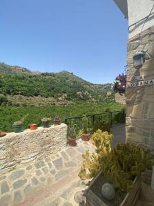a group of potted plants sitting on a stone wall at La Lozana in Jete
