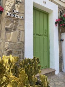 a green door in front of a building with a cactus at La Lozana in Jete