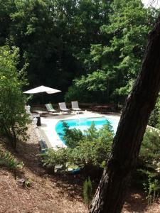 einen Pool mit Liegestühlen und einem Sonnenschirm in der Unterkunft Villa 14 personnes en pleine campagne dans un parc naturel avec piscine privée in Villarzel-du-Razès