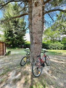 two bikes are parked next to a tree at Maison de Bernard in Le Beausset