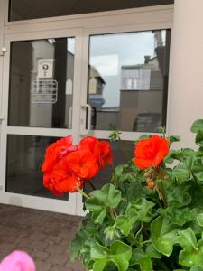 Fotografie z fotogalerie ubytování Hotel Wittlicher Hof v destinaci Wittlich