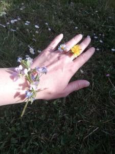 Una mano che tiene un mazzo di fiori nell'erba di Guest House Kveder a Škofja Loka