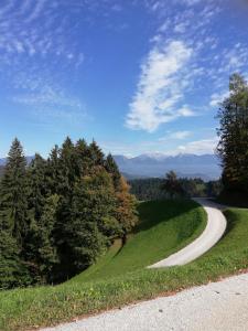 a winding road with trees and mountains in the background at Guest House Kveder in Škofja Loka