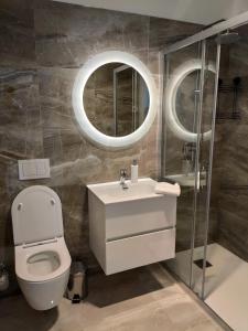 a bathroom with a toilet and a sink and a mirror at Apartments Pina in Kornić
